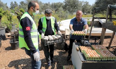 Yumurta Üreticisine Başkan Aras’tan Destek