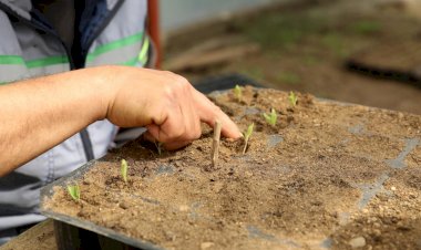 Ata Tohumlarımız Toprakla BuluşuyorAta Tohumlarımız Toprakla Buluşuyor