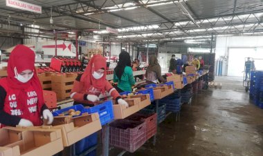 Muğla’da Tarımsal Üretim Devam Ediyor