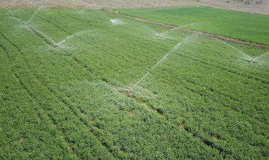 Muğla'da 125 Bin Dekar Tarım Arazisi  Sulanmaya Başladı