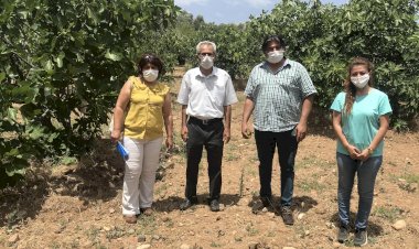 Bodrum Ziraat Odası Saha Çalışmalarına Başladı