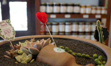 Bodrum Tarko Açıldı, İlk Alışverişi Belediye Başkanı Yaptı