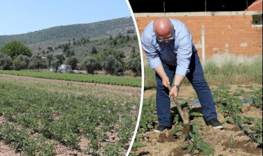 Toprakla Buluşan Ata Tohumları, Filizlenmeye Başladı