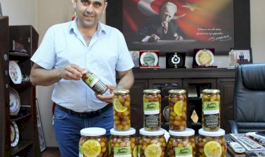 Milas'ın İlk Coğrafi İşaretli Yağlı Zeytini Serci Oldu