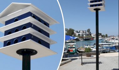 Güvercin Yuvalarının Yerleştirilmesine Güvercinlik Mahallesi'nden Başlandı