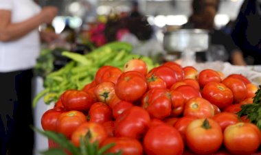 Bodrum’da Üretici Pazarları Açıldı