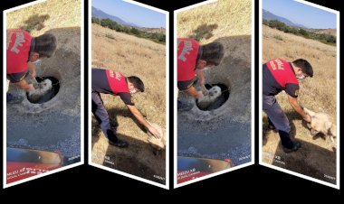 Çukura Düşen Köpek İtfaiye Ekipleri Tarafından Kurtarıldı