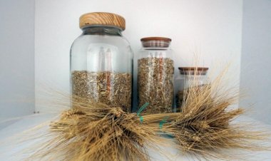 Türkiye'nin 5. Yerel Tohum Merkezi Bodrum'da Açıldı