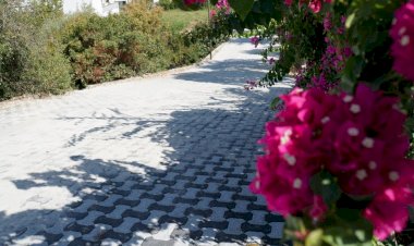 Sokak ve Caddelerde Çalışmalar Aralıksız Devam Ediyor