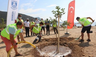 Yalıçiftlik Mahallesi Gerenkuyu Sahiline 30 Ağaç Fidanı Dikildi