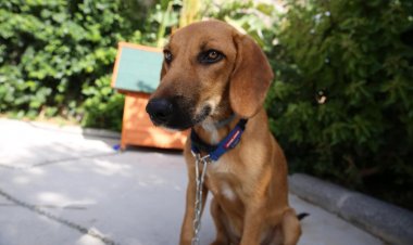 Artık O da Okullu Oldu