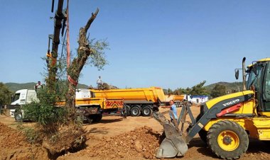 Termik Santral Alanından Tohum Merkezi Bahçesine