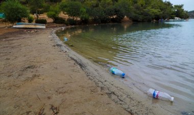 O Güzel Koylarımızdan Neler Çıkmadı?