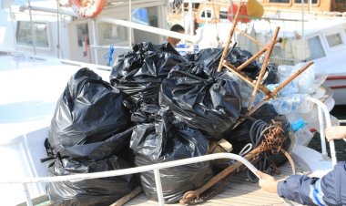 Bodrum'da Doğa Kazanacak Diyen Herkes Kolları Sıvadı