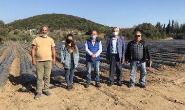 Bodrum Ziraat Odası Saha Gezilerine Devam Ediyor