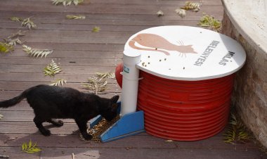 Milas Belediyesi Minik Dostlarımızın Yanında