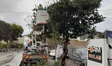 Tehlike Arz Eden Dallara Müdahale