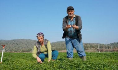 Tarımsal Üretimde Kümelenme Modeli Projesi Hayata Geçiriliyor