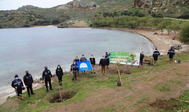Sahillerde Ağaçlandırma Çalışması Gerçekleştiriliyor