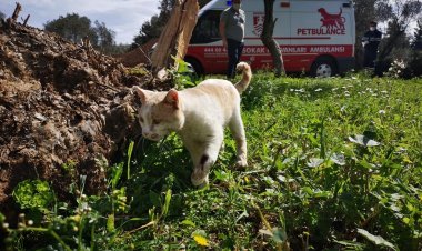500 Günde 5 Bin Vakaya Müdahale Edildi