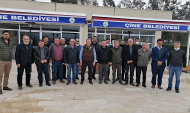 Güney Ege Zeytinciliğine Yeni Bir Soluk