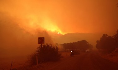 Bodrum Belediyesi Yangın Yerinde, Mücadele Sürüyor
