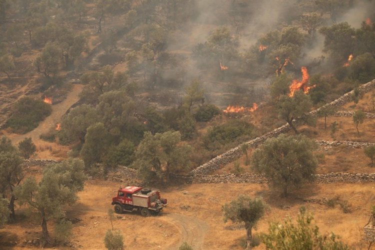 Bodrum Belediyesi Yangın Yerinde, Mücadele Sürüyor