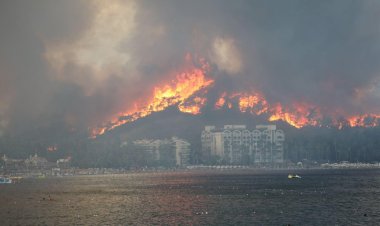 Orman Yangınları Marmaris’teki Çalıştayda Ele Alınacak