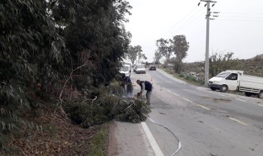 Fırtınada Zarar Gören Ağaçlara Belediye Ekipleri Müdahale Etti