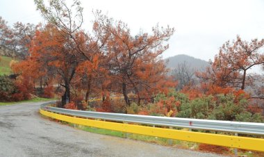 Tehlikeli Yollarda Güvenlik Önlemleri Artırılıyor