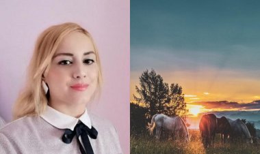 İzin Ver İçindeki Atlar Koşsun