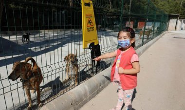 Marmaris’te Can Dostlara İyi Bakılıyor