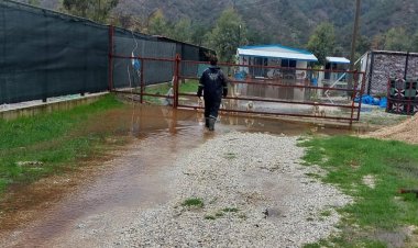 Marmaris Belediyesi Selde De Can Dostların Yanında