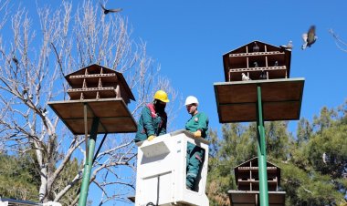 Kuş Yuvalarına Hassas Bakım