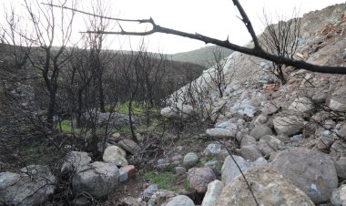 Yanan Alanları Kaçak Hafriyatla Doldurdular