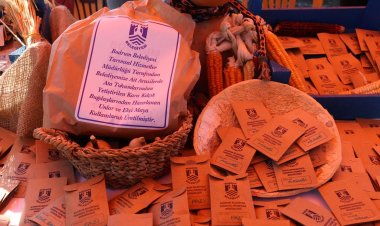 Bodrum Tohum Takas Şenliği İle Ata Tohumları Üreticilerle Buluştu