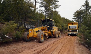 İkiz Kızlar Artık Okula Güvenle Gidebilecek