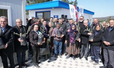 Yangında Zarar Gören Üreticiye 3500 Adet Zeytin Fidanı Hibe Edildi