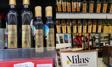 Türkiye'nin İlk Ve Tek Ab Coğrafi İşaretli Milas Zeytinyağı Almanya'nın Süpermarketlerinde