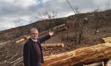 GİRGİN Yangın Sonrası Talan İddialarını Meclise Taşıdı!