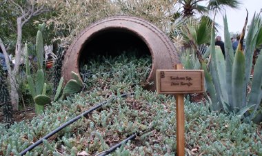 Halikarnas Balıkçısı Yaşatılıyor