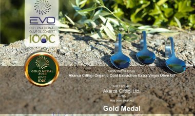 Milas Zeytinyağına İtalya'dan Altın Madalya