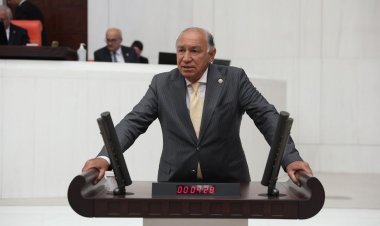 AK Parti'li Demir Marmaris'teki Orman Yangınıyla İlgili TBMM'de Konuşma Yaptı