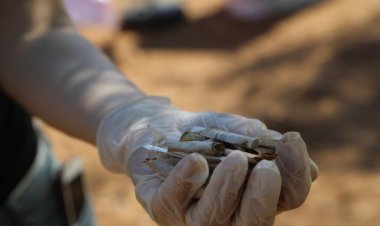 Dünya Temizlik Günü’nde Cennet Koy Temizlendi