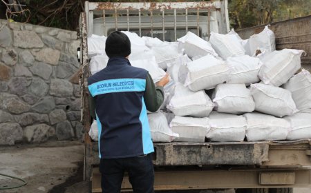 Belediyeden Vatandaşlara Yakacak Desteği
