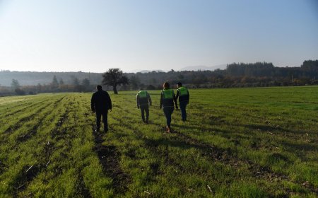 Milas Belediyesi Tarıma Değer Katıyor