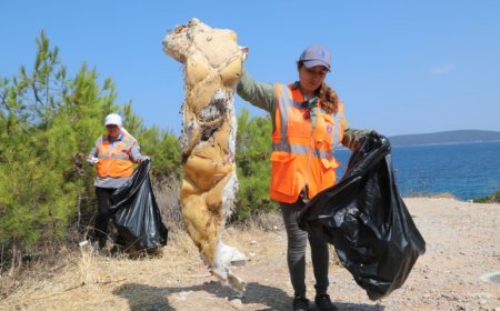 Bodrum Belediyesi, 1 Yılda 130 Milyon Kilo Evsel Atık Topladı