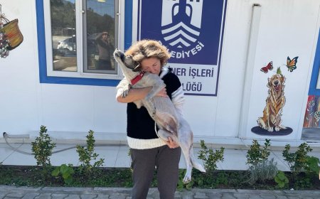 Depremden Kurtulan Ege’nin Hayvan Sevgisi
