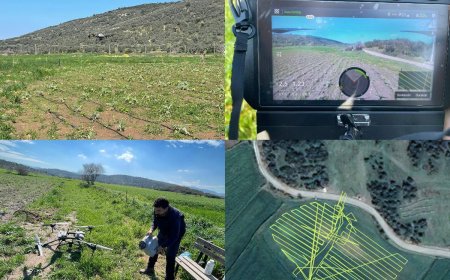 Belediyenin Zirai Drone Çiftçilerin Hizmetinde
