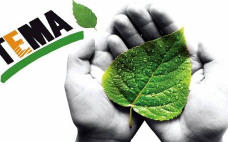 TEMA Vakfı Muğla Bodrum’da  Faaliyetlerine Devam Ediyor!